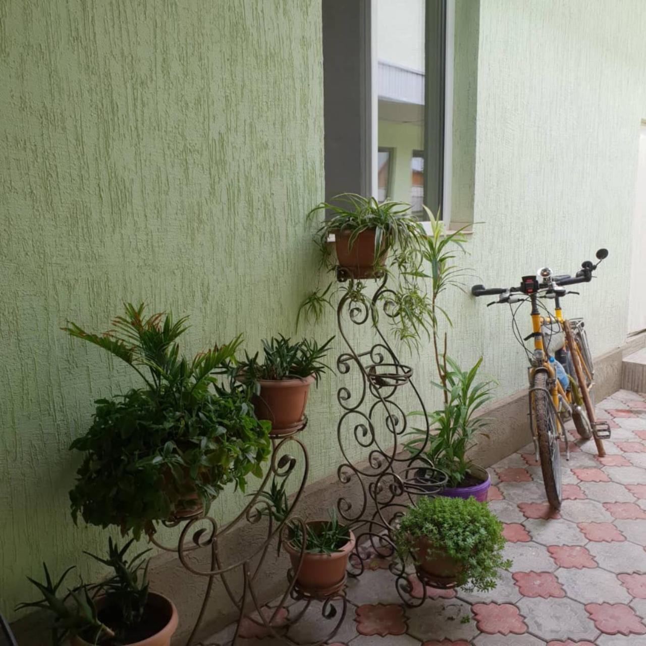Datka Guest House Naryn Dış mekan fotoğraf